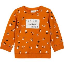 Bluzy niemowlęce: Bluza "Olmin" w kolorze pomarańczowym