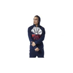Bluzy męskie: Polary Reebok Classic Bluza z kapturem Starcrest