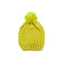 Czapka damska Pani zima limonkowa. Brązowe czapki zimowe damskie marki Art of Polo. Za 28,94 zł.