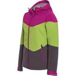 VIKING Kurtka damska SoftShell Norman wielokolorowa r. M (700/19/2026/46/M). Szare kurtki sportowe damskie marki Viking, m, z softshellu. Za 180,78 zł.