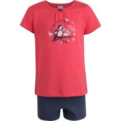 Bielizna chłopięca: Sanetta SAN BIRDS PYJAMA SHORT Piżama kiss