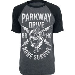 Parkway Drive None Survive T-Shirt odcienie szarego/czarny. Czarne t-shirty męskie z nadrukiem Parkway Drive, xxl, z okrągłym kołnierzem. Za 79,90 zł.