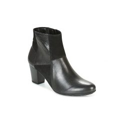 Botki damskie lity: Botki Gabor SOLI