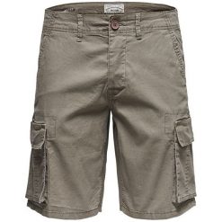 Only&Sons Męskie Szorty Tony Cargo Sh Pk 8469 Re Noos Fallen Rock (Rozmiar 31). Szare spodenki i szorty męskie marki Only&Sons, s, bez wzorów, rockowe, krótkie. W wyprzedaży za 101,00 zł.