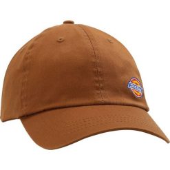 Czapki męskie: Dickies WILLOW CITY Czapka z daszkiem brown duck