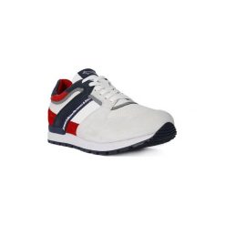 Trampki męskie: Buty Harmont Blaine HARMONT BLAINE ALLACCIATA