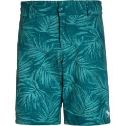 Kąpielówki chłopięce: Abercrombie & Fitch CORE Szorty kąpielowe green