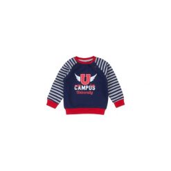 Bluza niemowlęca chłopięca. Szare bluzy niemowlęce TXM, bez wzorów, bez rękawów, bez kaptura. Za 9,99 zł.