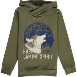 Bluza w kolorze khaki. Brązowe bluzy niemowlęce lamino, z nadrukiem, z dresówki, bez rękawów, bez kaptura. W wyprzedaży za 65,95 zł.