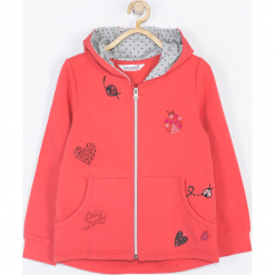 Bluza. Pomarańczowe bluzy dziewczęce marki LADY BUG, z nadrukiem, z długim rękawem, długie. Za 89,90 zł.