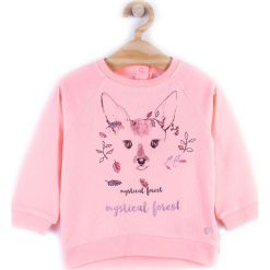 Coccodrillo - Bluza dziecięca 92-116 cm. Pomarańczowe bluzy dziewczęce marki COCCODRILLO, z nadrukiem, z bawełny, bez rękawów, bez kaptura. W wyprzedaży za 34,90 zł.