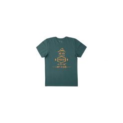 T-shirt krótki rękaw męski z printem. Szare t-shirty męskie marki TXM, m. Za 9,99 zł.