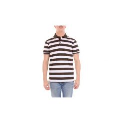 Koszulki polo z krótkim rękawem Paul Shark P1253SF. Szare koszulki męskie Paul & Shark, m, bez wzorów, z krótkim rękawem. Za 391,93 zł.