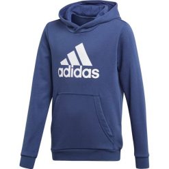 Bluzy chłopięce rozpinane: Bluza z kapturem