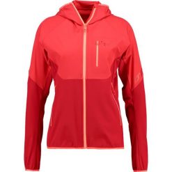 Kurtki sportowe damskie: Dynafit TRANSALPER Kurtka Softshell hibiscus