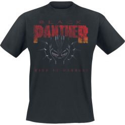 T-shirty męskie: Black Panther King Of Wakanda T-Shirt czarny