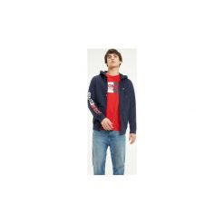 Bluzy Tommy Jeans DM0DM05541 ESSENTIAL GRAPICH. Czarne bluzy męskie Tommy Jeans, s, bez wzorów, z jeansu, bez kołnierzyka, bez rękawów, bez kaptura. Za 328,92 zł.