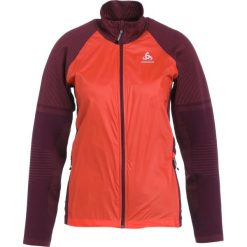 Kurtki sportowe damskie: ODLO VELOCITY Kurtka do biegania hot coral/pickled beet