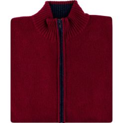 Sweter TOMASSO SWTR000248. Czerwone swetry męskie Giacomo Conti, m, bez wzorów, z wełny, klasyczne, z klasycznym kołnierzykiem, bez kaptura. Za 249,00 zł.