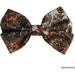 Mucha / Muszka Męska- Elegancki Brąz. Brązowe muszki męskie Pakamera, bez wzorów, eleganckie. Za 65,00 zł.