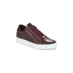 Buty André EAGLE. Czerwone trampki męskie Andre, bez wzorów, bez zapięcia. Za 311,20 zł.