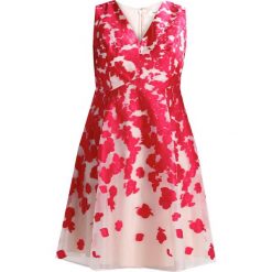 Sukienki: Studio 8 JASMINE Sukienka koktajlowa hot pink