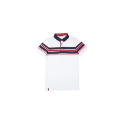 T-shirt polo męski w pasy. Szare koszulki polo marki TXM, m. Za 19,99 zł.