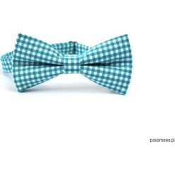 Fancy. Turkusowa mucha w kratę vichy. Niebieskie muchy męskie Pakamera, w kratkę, eleganckie. Za 69,00 zł.