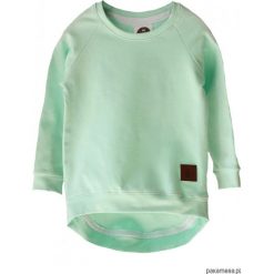Bluzy chłopięce: Bluza TAIL mint