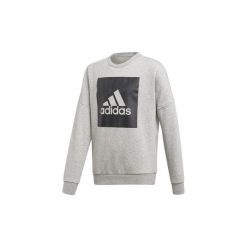 Bluzy chłopięce: Bluzy Dziecko adidas Bluza Essentials Big Logo Sweatshirt
