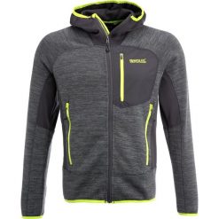 Kurtki sportowe męskie: Regatta CARTERSVILLE III Kurtka z polaru sealgrey
