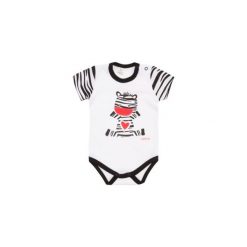 BODY NIEMOWLĘCE KRÓTKI RĘKAW. Szare body niemowlęce TXM, bez wzorów, z krótkim rękawem. Za 16,99 zł.