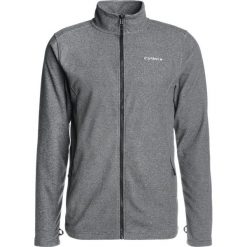 Kurtki sportowe męskie: Icepeak JIM Kurtka z polaru anthracite