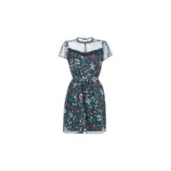 Sukienki krótkie One Step REKKA. Sukienki damskie One Step, bez wzorów, bez kołnierzyka, z krótkim rękawem, krótkie, mini. Za 589,00 zł.