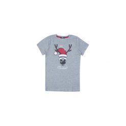 T-shirt chłopięcy. Szare t-shirty chłopięce z krótkim rękawem marki TXM. Za 11,99 zł.