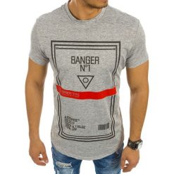 T-shirty męskie z nadrukiem: T-shirt męski z nadrukiem szary (rx2128)
