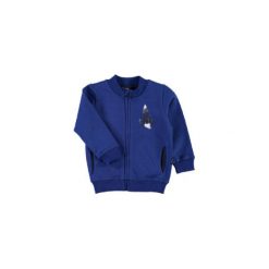 Bluzy niemowlęce: NAME IT Boys Bluza NITVERMOND limoges