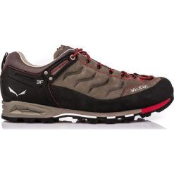 Buty trekkingowe męskie: Salewa Buty męskie MS Mountain Trainer Leather brązowe r. 44 (634137552)