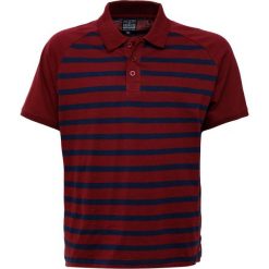 Koszulki polo: BAD RHINO SLUB STRIPE RAGLAN Koszulka polo burgundy/navy