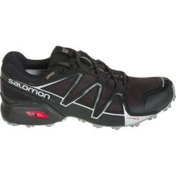 Buty sportowe męskie: Salomon Buty męskie Speedcross Vario 2 GTX Phantom/Black/Monument r. 45 1/3 (398468)