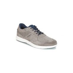 Buty Lloyd ADLAI. Szare trampki męskie marki Lloyd, bez wzorów, bez zapięcia. Za 487,20 zł.