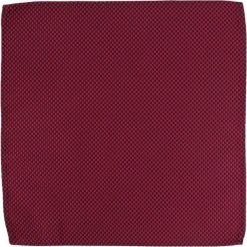 Elegancka Poszetka - Alties - w Czerwono-Granatową Kratkę POSZALTTANIA0043. Czerwone poszetki męskie Alties, w kratkę, z materiału, eleganckie. Za 16,90 zł.