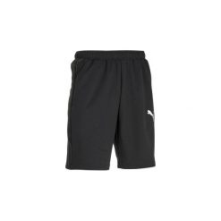 Spodenki Gym & Pilates Active męskie. Szare spodenki sportowe męskie Puma, xl, bez wzorów, z bawełny, sportowe, na jogę i pilates. Za 89,99 zł.