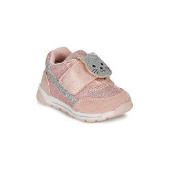 Buty Dziecko Chicco GRAX. Różowe trampki dziewczęce Chicco, bez wzorów, bez zapięcia. Za 179,00 zł.