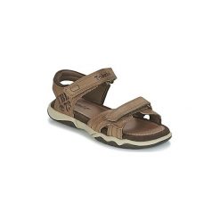 Sandały sportowe Dziecko Timberland OAK BLUFFS. Brązowe buty sportowe chłopięce Timberland. Za 202,30 zł.