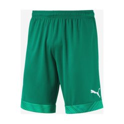 Puma Cup Szorty Zielony. Zielone spodenki i szorty męskie Puma, xl, bez wzorów, z poliesteru. Za 137,95 zł.