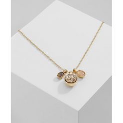 Naszyjniki damskie: Pilgrim AILEAS Naszyjnik goldcoloured
