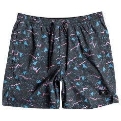 DC Spodenki Hedron 16,5 Dc Czarny Bay edyjv03012-kvj3 (Rozmiar M). Czarne spodenki sportowe męskie marki DC, m, sportowe. W wyprzedaży za 155,00 zł.