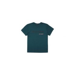 T-shirt męski. Szare t-shirty męskie TXM, m, bez wzorów, bez kołnierzyka. Za 14,99 zł.