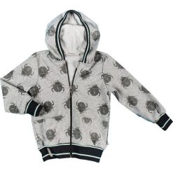 Mmdadak Bluza Chłopięca Robak 104 Szara. Szare bluzy chłopięce marki Mmdadak. Za 53,00 zł.